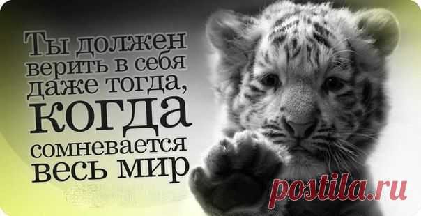 Сергей Паршаков
