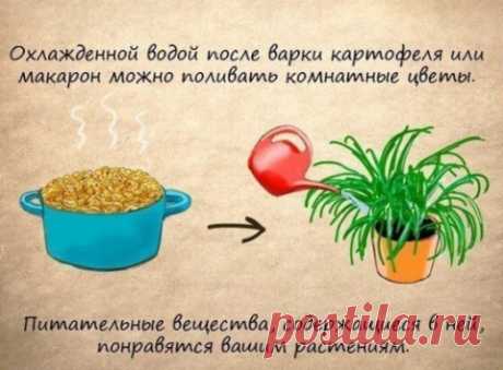 Идеи для жизни