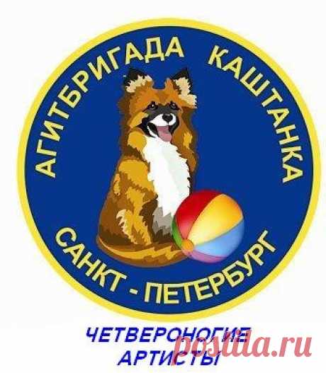 Best-Q лучшие товары для собак и кошек