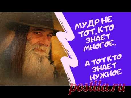 Мудрость плюс