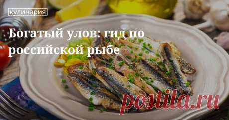 Российская морская и речная рыба: 7 простых и вкусных рецептов Какие из видов российской рыбы речной и морской рыбы пользуются наибольшей популярностью? Возможно, их названия у вас на слуху, но вы пока не пробовали их готовить? Кулинарный гид по лучшим рецепта...