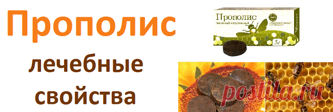 Прополис лечебные свойства, рецепты | Советы целительницы