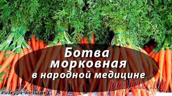 Ботва пить. Морковь с ботвой. Чем полезна ботва моркови. Морковная ботва чем полезна. Морковная ботва в медицине.