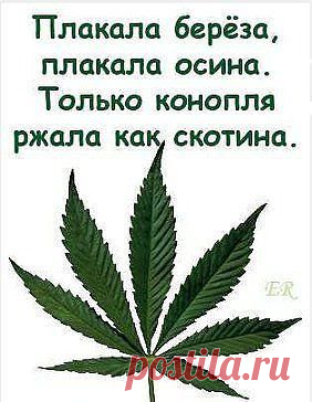В точку ........)))