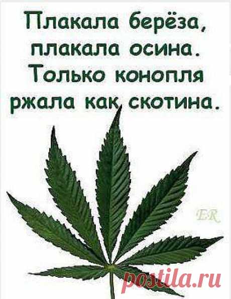 В точку ........)))