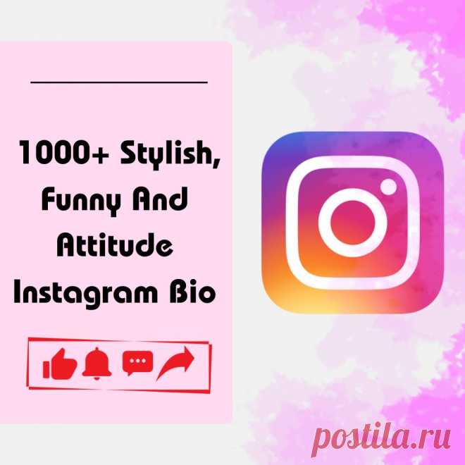 In the bustling realm of social media, where attention spans are fleeting, making your Instagram bio stand out is akin to crafting an inviting storefront in a bustling marketplace.