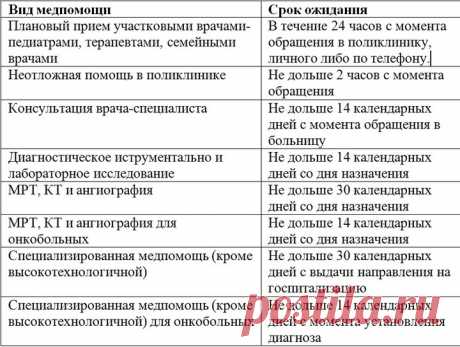 Как оренбуржцу попасть к терапевту в течение суток: отстаиваем права и реализуем возможности - МК Оренбург