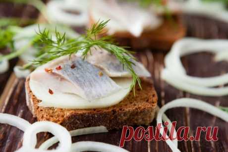 Селедка – рыба для здоровья и удовольствия | Статьи (Огород.ru)