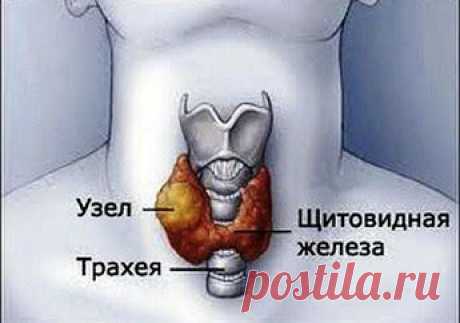 Умные Советы #Wise advice – Сообщество – Google+