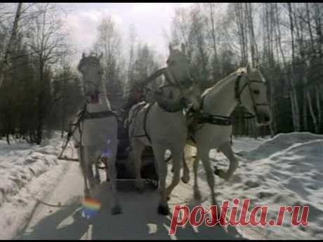 Три белых коня (1982) Лариса Долина