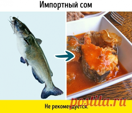 9 видов рыбы, которые не стоит есть