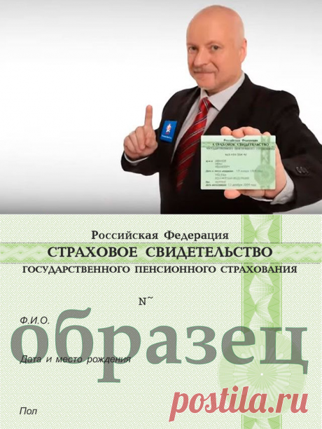 Такая важная зелёная карточка. Все, что нужно знать о СНИЛС | Право | Общество | Аргументы и Факты
