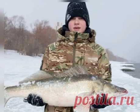 Огромного судака весом 9 кг поймал в Обском море житель Новосибирска | Bixol.Ru