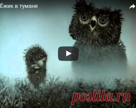 Ёжик в тумане, мультфильм (1975), смотреть мультики онлайн бесплатно | Русская сказка Мультфильм "Ёжик в тумане"; Режиссёр Юрий Норштейн; Продюсер Союзмультфильм; Автор сценария Сергей Козлов; Художник-постановщик Франческа Ярбусова; Роли озвучивали Алексей Баталов, Мария Вин
