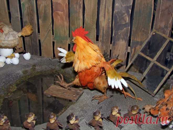 Яндекс.Фотки