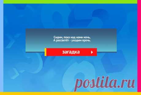 Сидим пока над нами ночь - Загадка