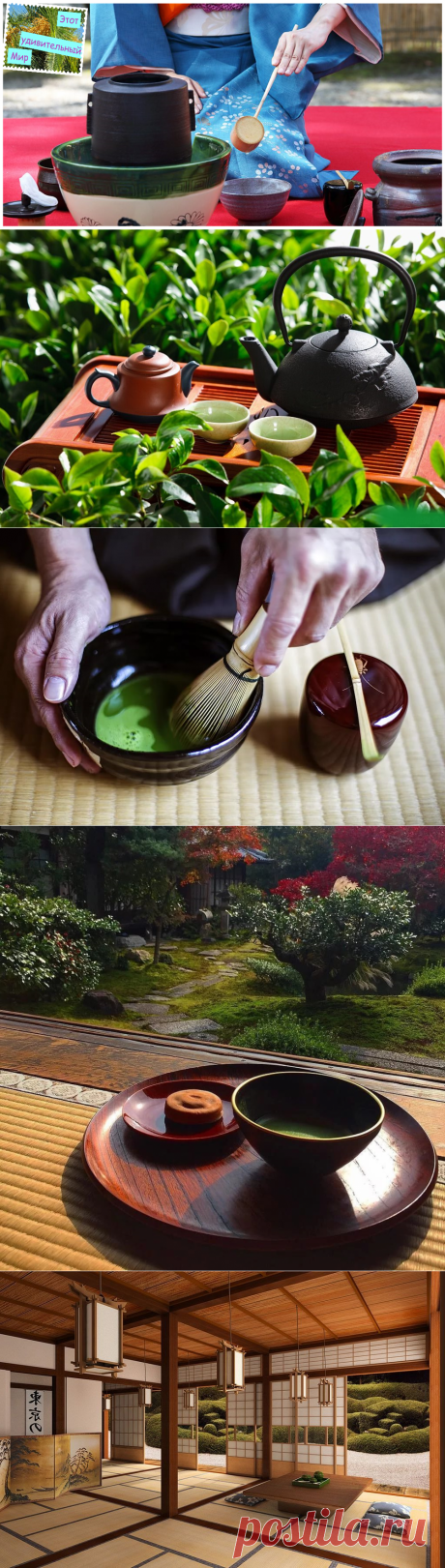 Японская чайная церемония. Правила чайной церемонии. И что считается невежливым?