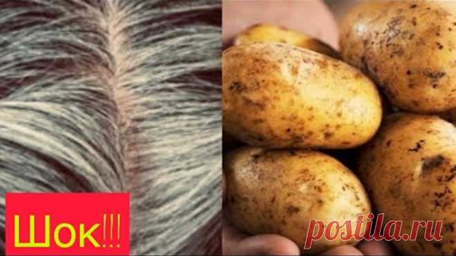Как убрать седину?Возьмите обычный картофель! Эффект после первой процедуры!