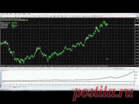 Forex Profit Bot