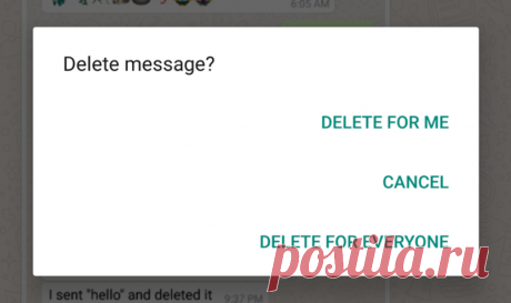 15 опций WhatsApp, о которых вы могли не знать - Hi-Tech Mail.Ru