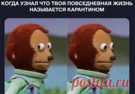 Четыре всадника апокалипсиса: рубль, греча, туалетная бумага, коронавирус. Лучшие мемы из Сети (16 фото) . Тут забавно !!!