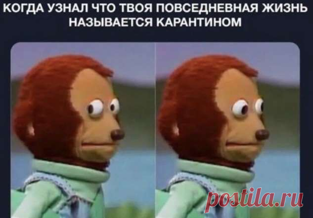 Четыре всадника апокалипсиса: рубль, греча, туалетная бумага, коронавирус. Лучшие мемы из Сети (16 фото) . Тут забавно !!!