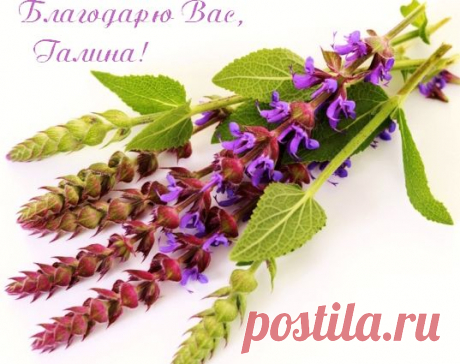 Библиотека бесплатных программ.