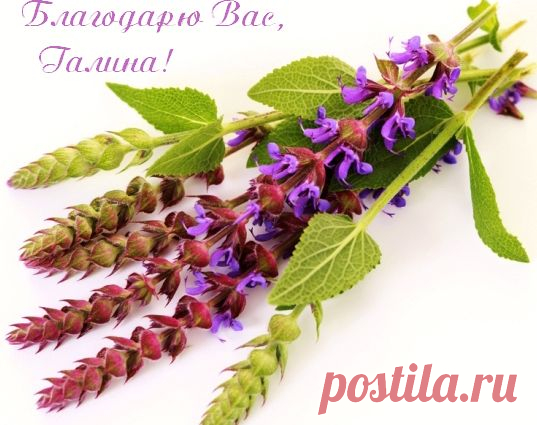 Библиотека бесплатных программ.