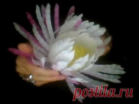 Hand-made!!! flowers from plastic . Цветы из пластиковых бутылок!!! Очень красиво и просто! - YouTube