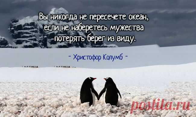 (+1) тема - Вдохновляющие цитаты на все времена | Полезные советы