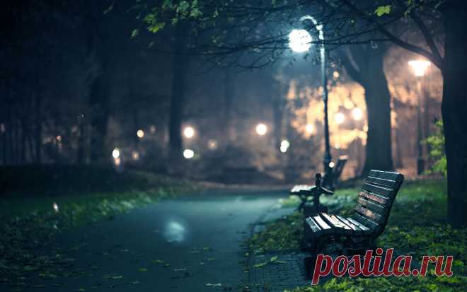 Park Benches Full HD Wallpaper and Background | 2560x1600 | ID:410698 View, download, comment, and rate this 2560x1600 Park Benches Wallpaper - Wallpaper Abyss