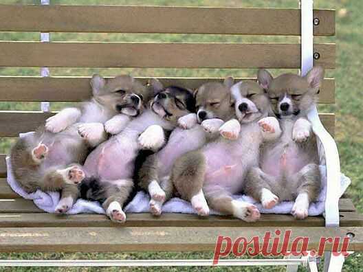 Мой Мир@Mail.Ru
