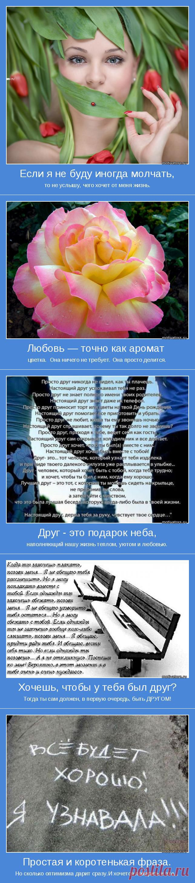 МУДРЫЕ СОВЕТЫ.