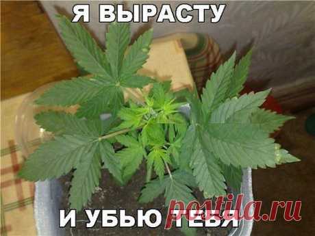 Интересные новости