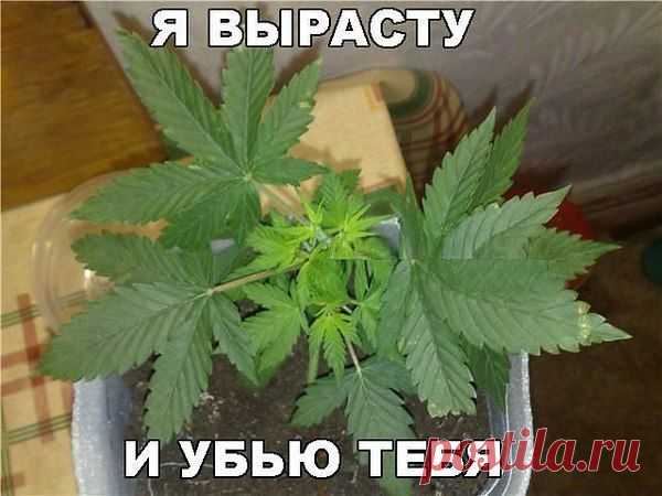 Интересные новости
