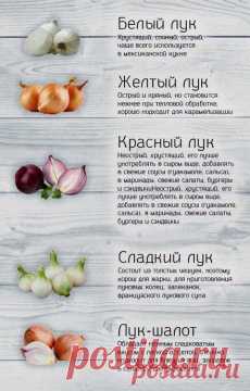 Поиск на Постиле: супы для похудения