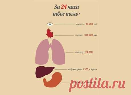 Занимательные факты и интересные фото