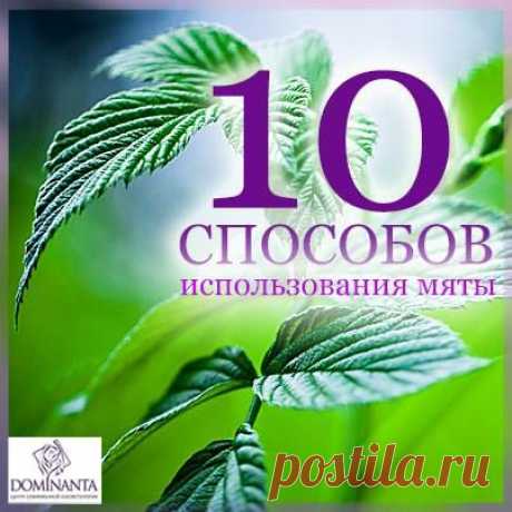 (104) Chef's notes ~ Записки шеф-повара