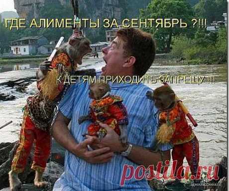 алименты обязательны......