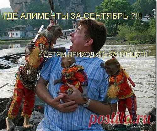 алименты обязательны......