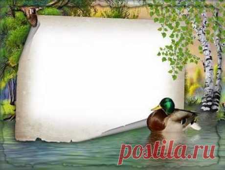 Nature, summer, photo frame. Transparent PNG Frame, PSD Layered Photo frame template, Download.