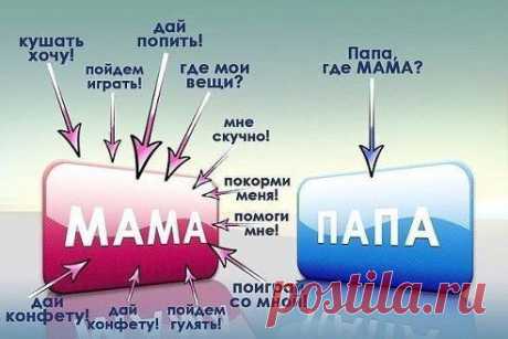 В чём разница между мамой и папой?