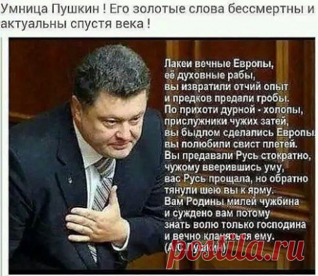 Друзья.