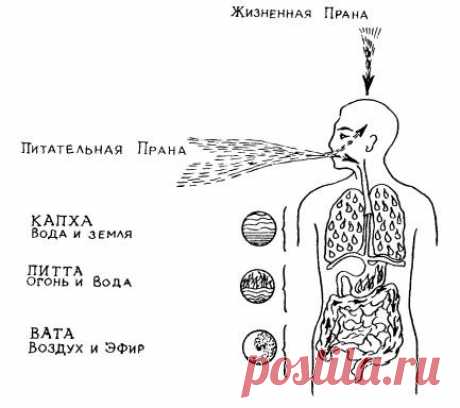 АЮРВЕДА

НАУКА  САМОИСЦЕЛЕНИЯ

ДРЕВНЕЙШЕЕ  ЗНАНИЕ

О ПРИЧИНАХ  ВОЗНИКНОВЕНИЯ  БОЛЕЗНЕЙ

И  МЕТОДАХ  ИХ  ЛЕЧЕНИЯ