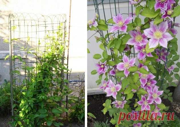 Какие сделать подпорки под кусты