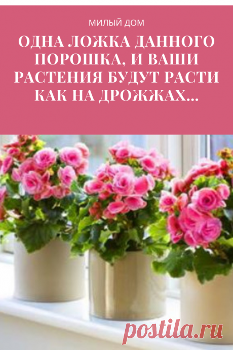 Подкормка для растений