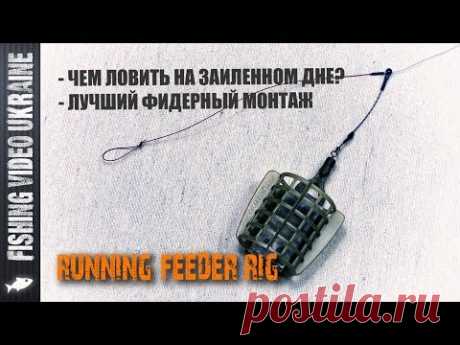 ЛУЧШИЙ ФИДЕРНЫЙ МОНТАЖ - RUNNING FEEDER RIG С ОТВОДОМ | FishingVideoUkraine