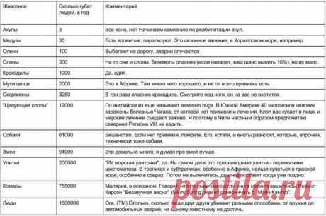Интересный сайт PulsON — только самые необычные, любопытные и интересные новости в картинках! - Часть 50