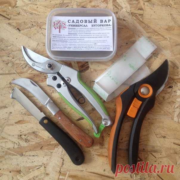 #растениеводство #инвентарь

Операции садовые сродни операциям над человеческим телом, а садовод является хирургом, который несёт ответственность за своего пациента. Один раз полапал жирными руками прививочный нож - загубил несколько десятков черенков.
Показать полностью…