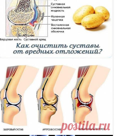 (5) Одноклассники